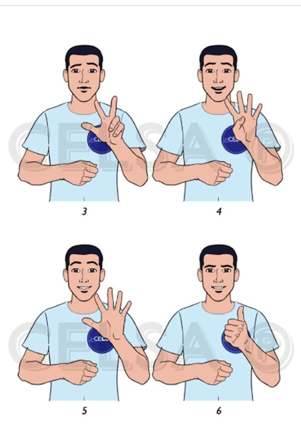 ABC y NÚMEROS en Lengua de señas Argentina - GRATIS