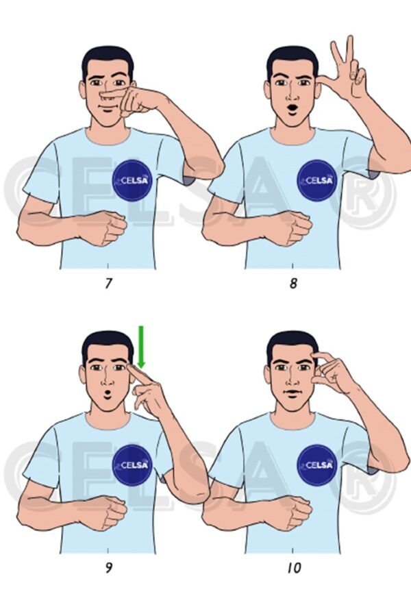 ABC y NÚMEROS en Lengua de señas Argentina - GRATIS